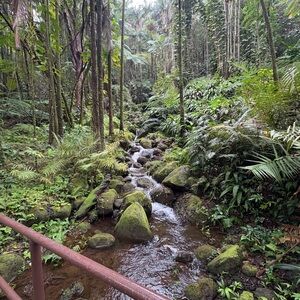 Meet your Posher, Raquel